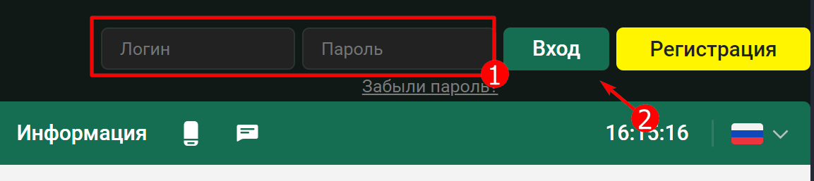 Форма входа в профиль в Макслайн