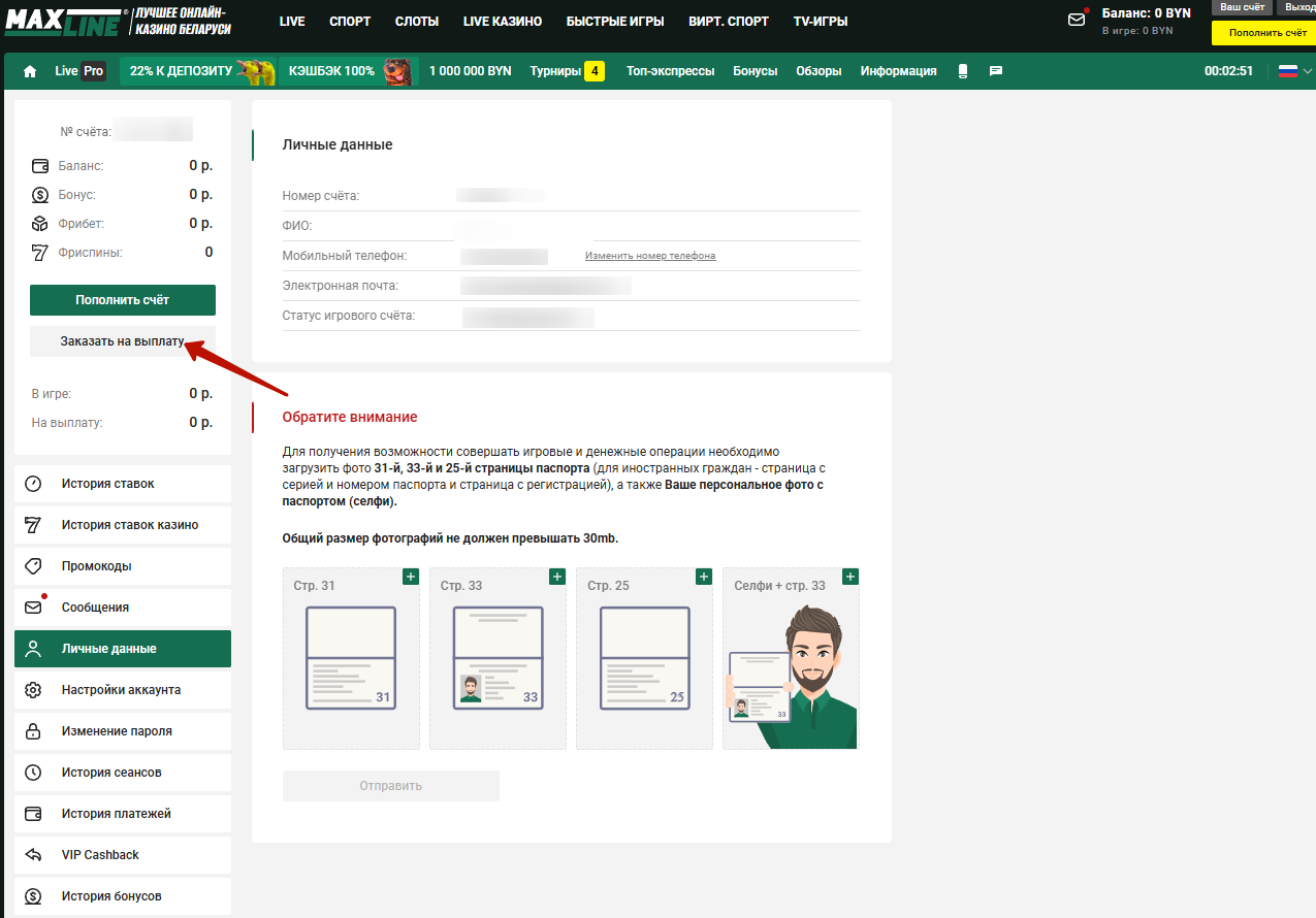 Раздел личного кабинета «Заказать выплату» в букмекерской конторе Макслайн